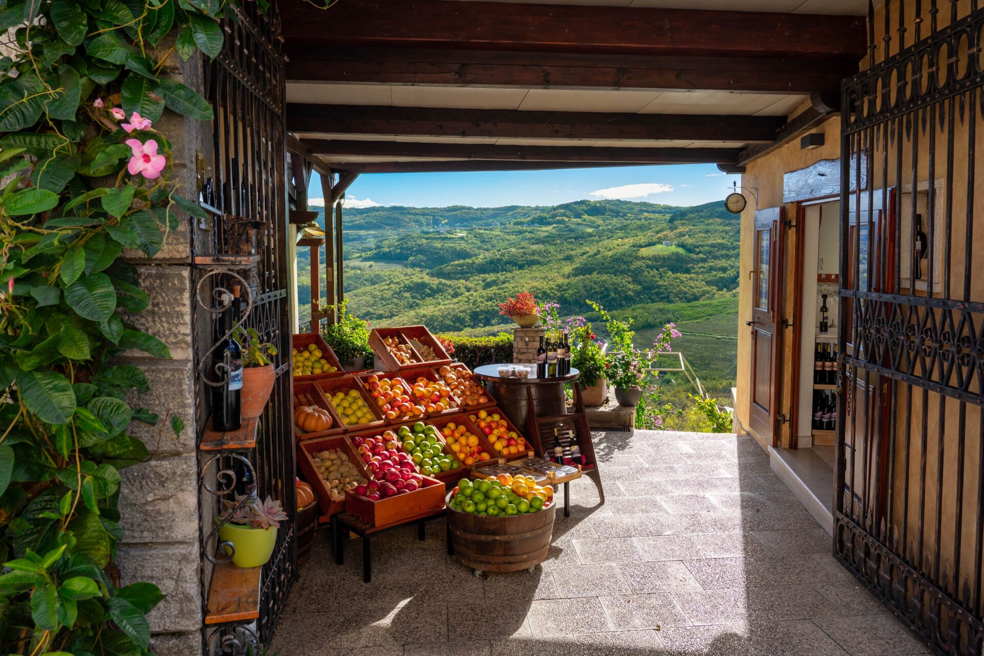 Fruits-Motovun-vue